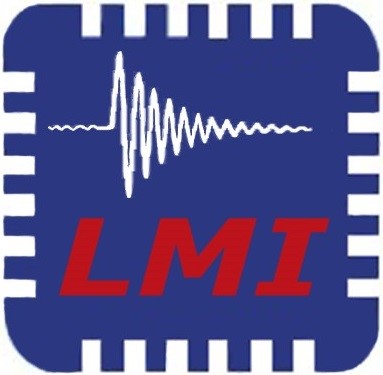 lmi logo